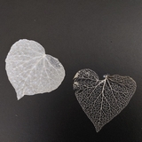 Coeurs Folio