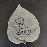 Chien Folio